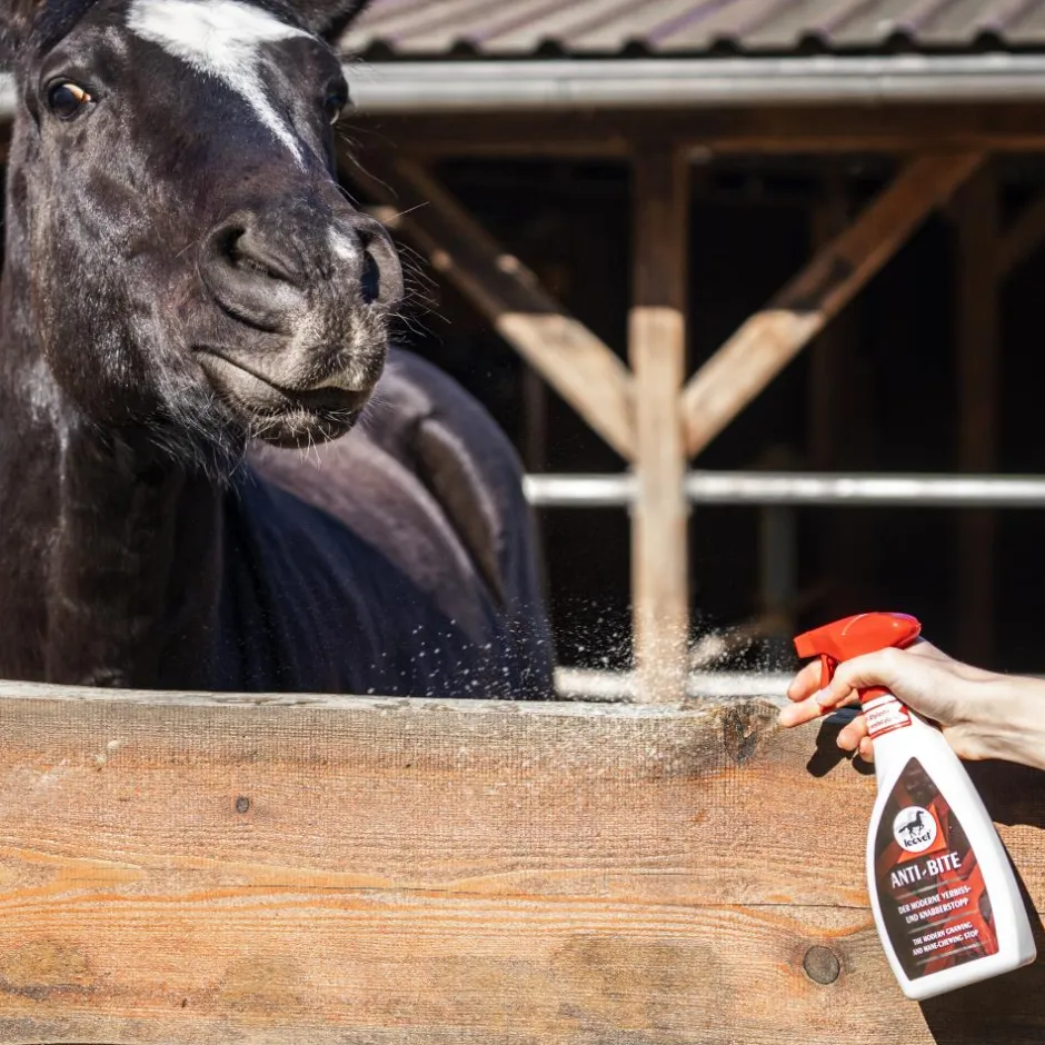 LEOVET SPRAY ANTI RONGEMENT 550ML
