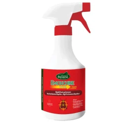 RAVENE SPRAY EMOUCHINE TOTAL CLASSIC 450ML