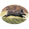 HV DVPT STICKER GRAND MODELE SANGLIER