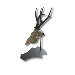 HENON SUPPORT TROPHEE PREMIUM SUR PIED CHEVREUIL