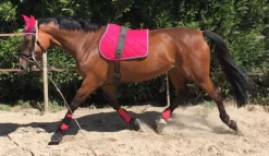 LAMICELL TAPIS DE SELLE FIGARA CHEVAL
