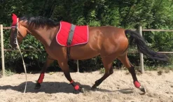 LAMICELL TAPIS DE SELLE FIGARA PONEY
