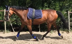 LAMICELL TAPIS DE SELLE FIGARA PONEY