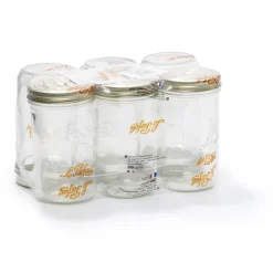 LE PARFAIT TERRINE FW 1 KG D100 X6
