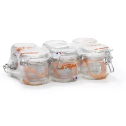 LE PARFAIT TERRINE LPS 200 GR D70 X6