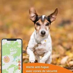 WEENECT TRACEUR GPS XS NOIR