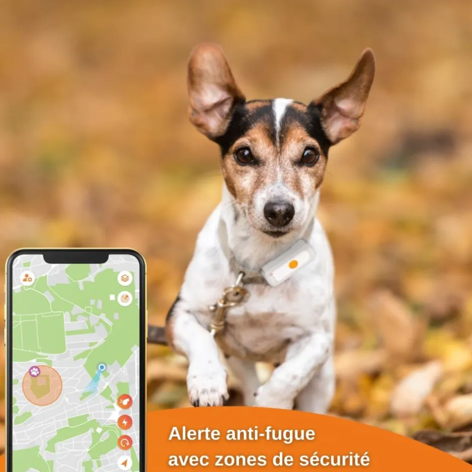 WEENECT TRACEUR GPS XS NOIR