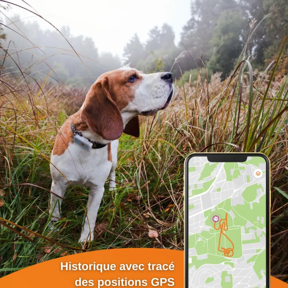 WEENECT TRACEUR GPS XS NOIR