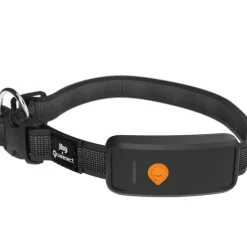 WEENECT TRACEUR GPS XT AVEC COLLIER